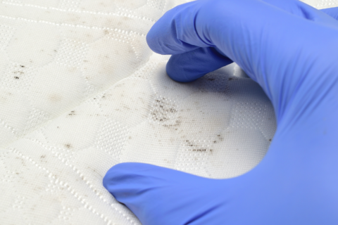 床墊發霉怎麼辦？床墊清潔及保養重點